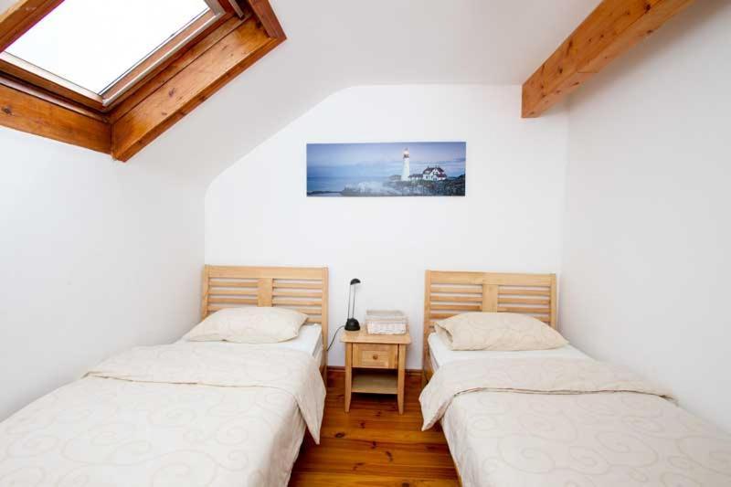 Rainbow Hostel Dingle Buitenkant foto